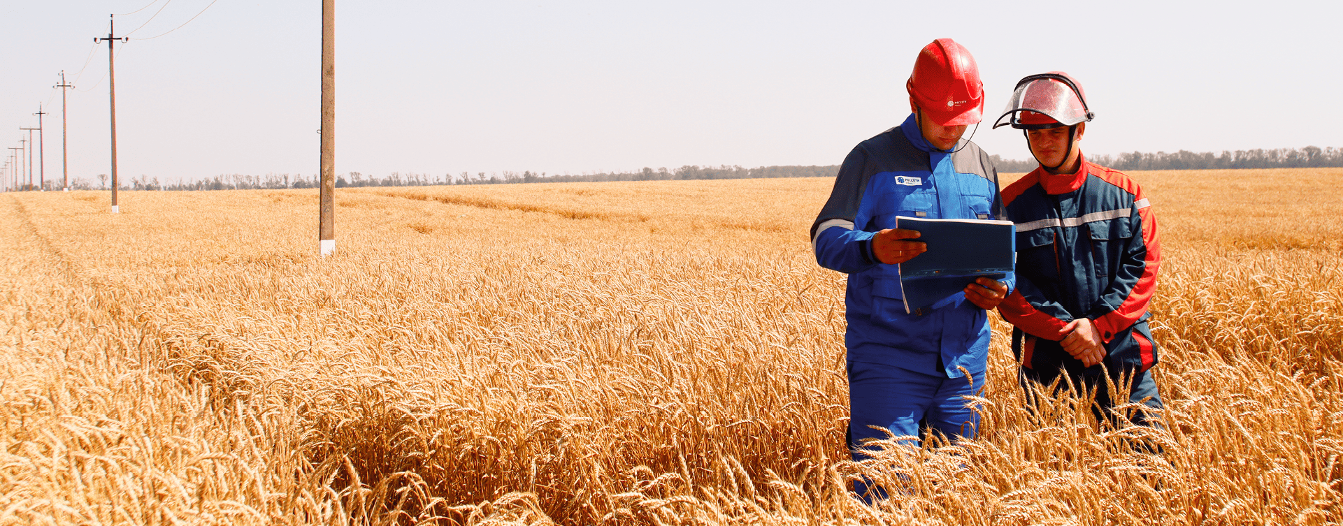 Two workers in the field